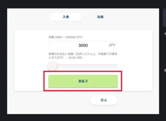 ③希望する入金額を入力後「支払う」をクリック。