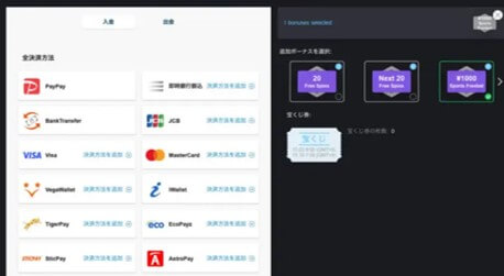 ③希望する入金額を入力後「支払う」をクリック。